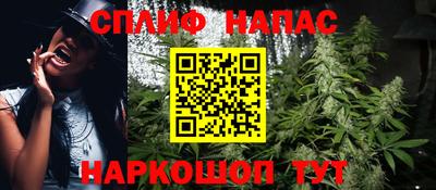 гашик Гатчина