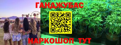 прущие крисы Гагарин