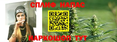 гашик Гатчина