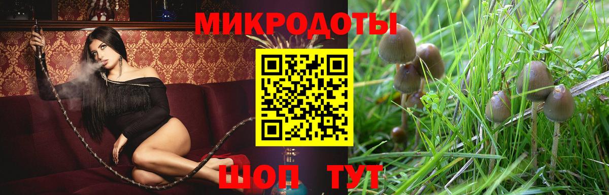 Моздок  Вход с VPN  Гашиш  ГАШ  Марихуана  Alpha PVP СК   Героин  Где продают наркотики?  МЕФ  