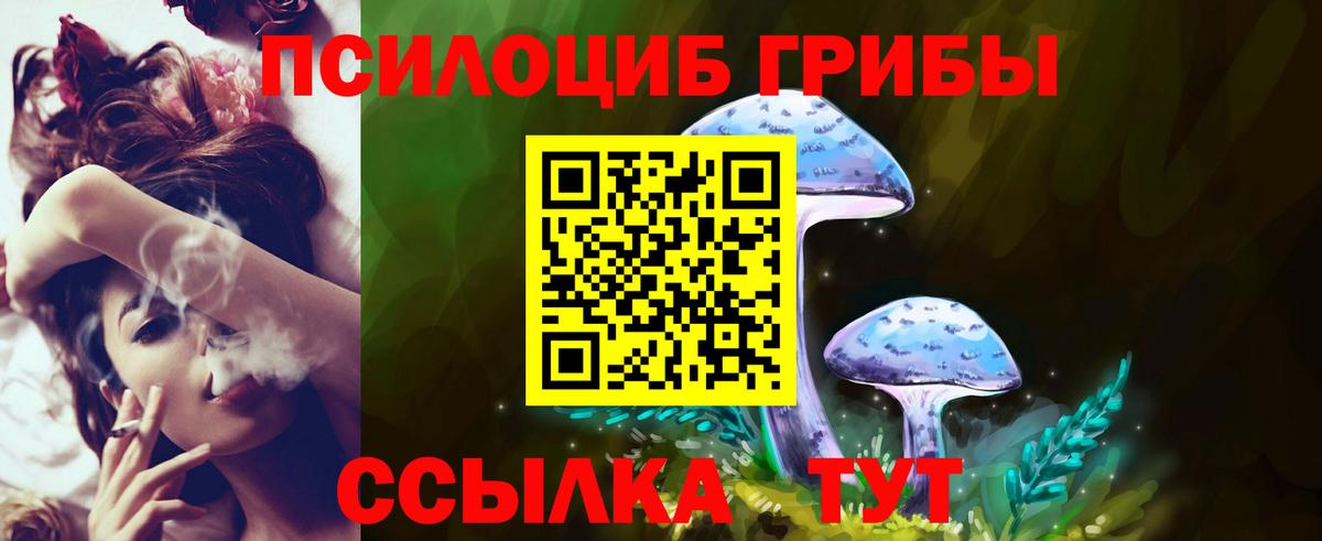 Псилоцибиновые грибы мухоморы Моздок